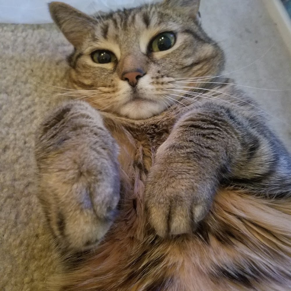 Meet your Posher, Rebecca elizabeth